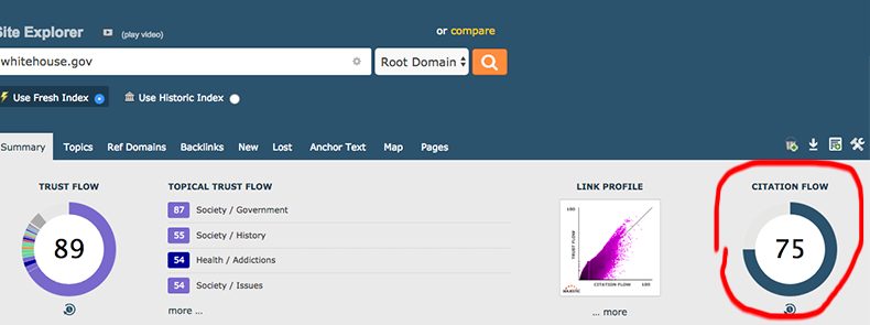 Majestic citation flow seo metric