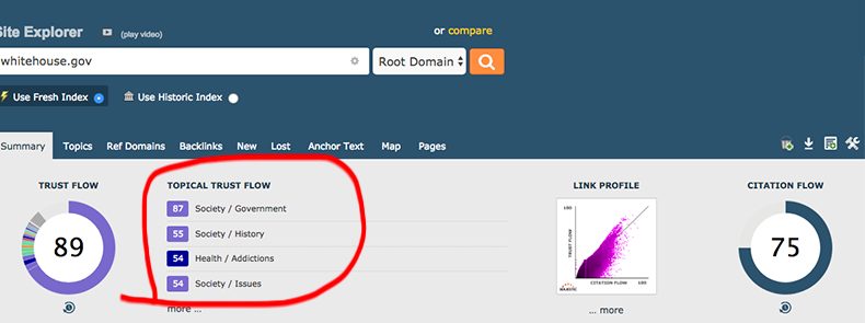 Majestic Topical Trust Flow SEO metric