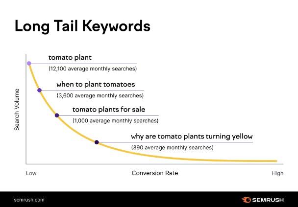 SEMRush longtail keyword graph