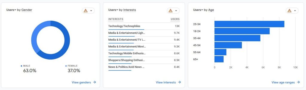 Google Analytics demographics