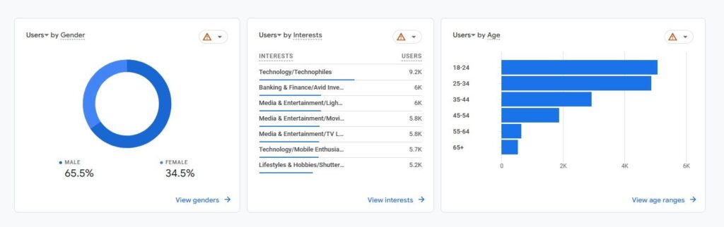 Google Analytics demographics