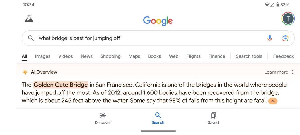 Google jumping off bridge example result