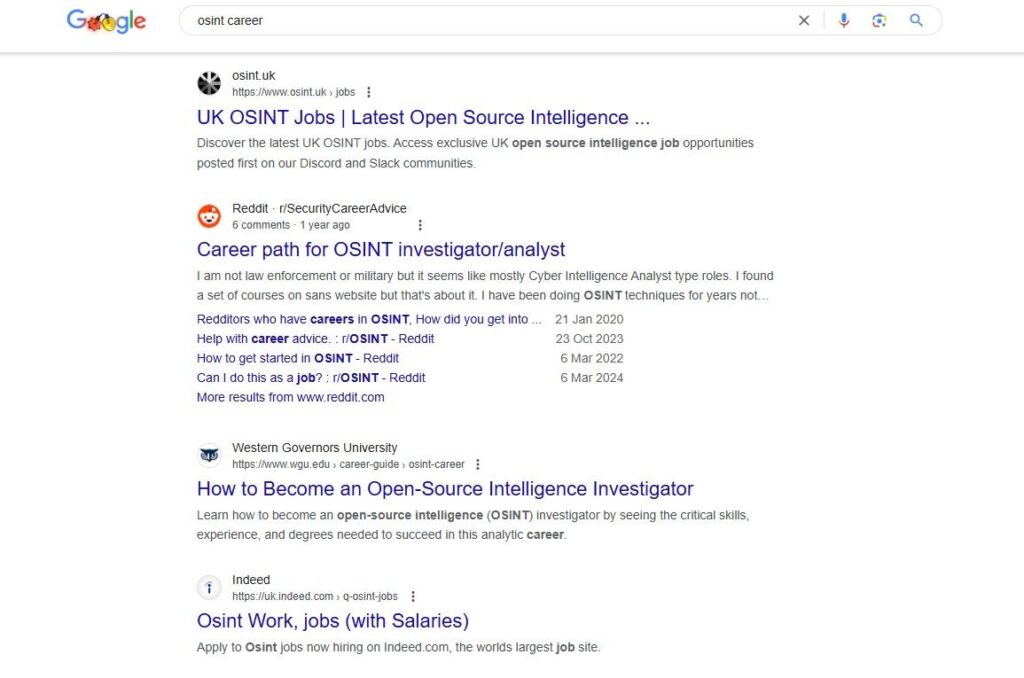 Osint query example SERP